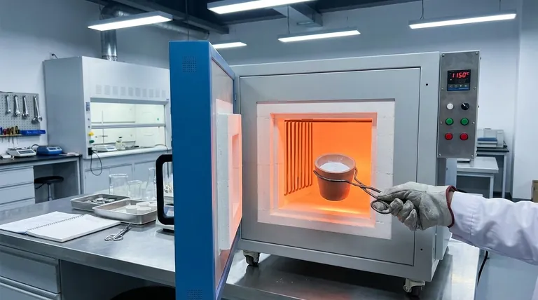 main_image_1765171482_6936611ae6306